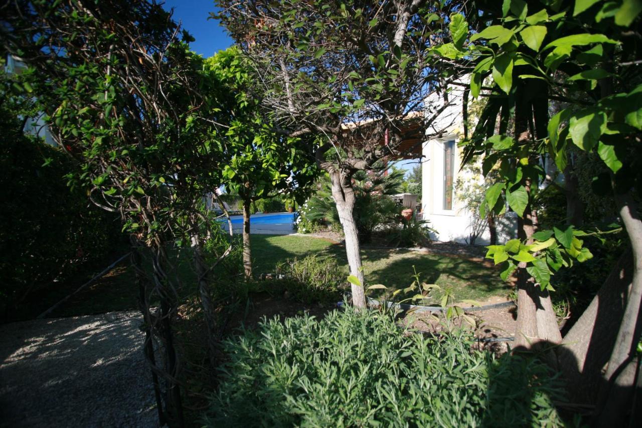 Beach Villa Sofia Neo Chorio Exterior foto
